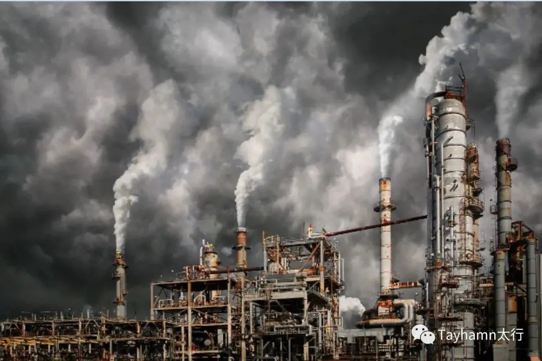 1690856165464210.jpg 3.jpg