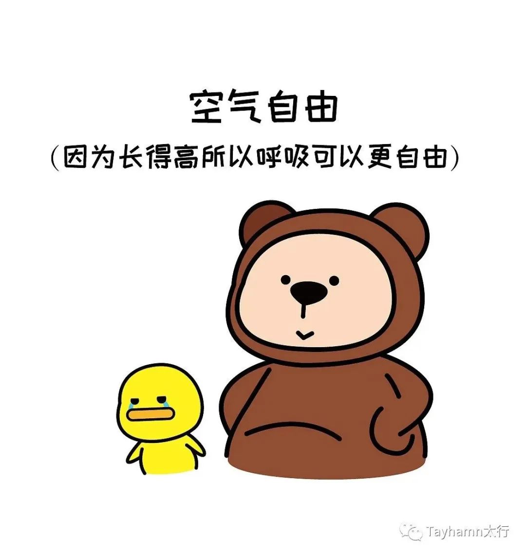 1690858455102556.jpg 6.jpg